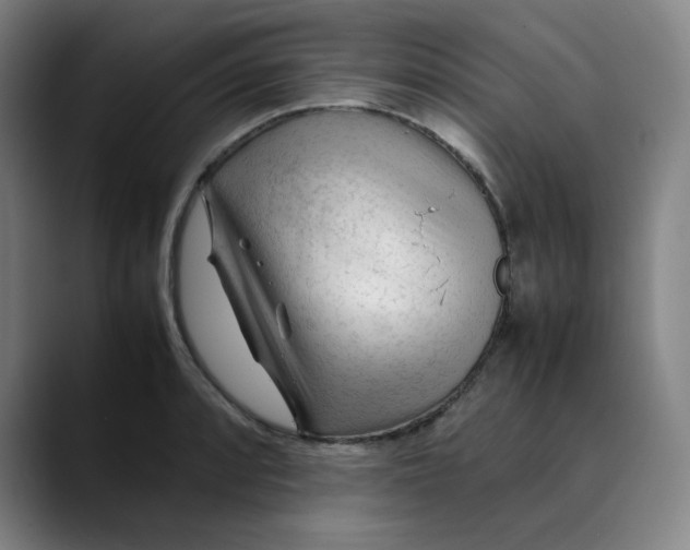 X0000089351088200707131526