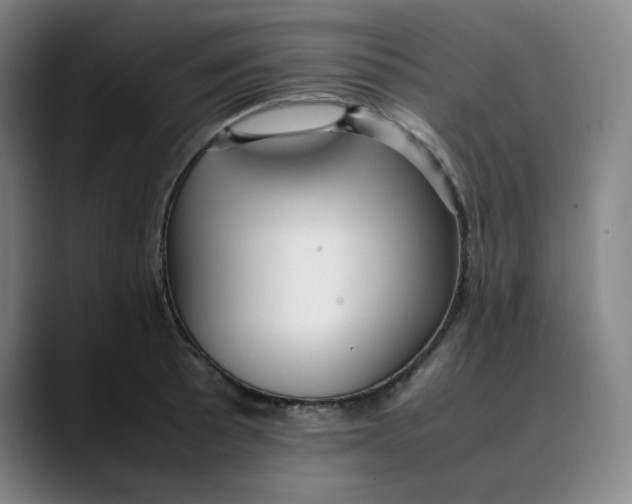 X0000089351089200707131526