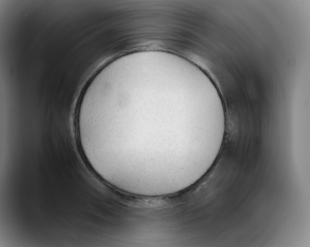 X0000089351090200707131526