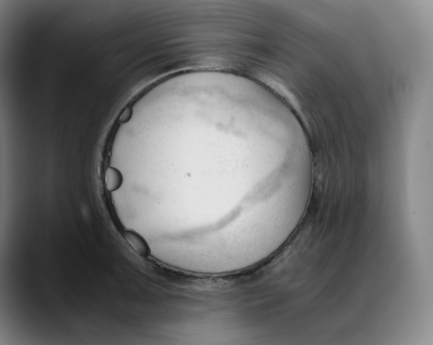 X0000089351091200707131526
