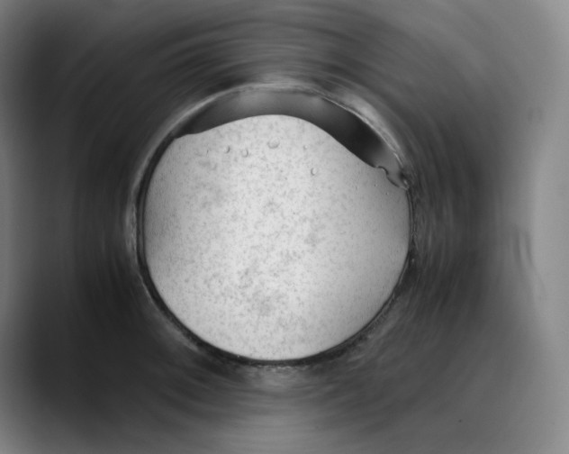 X0000089351092200707131526