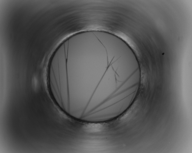 X0000089351094200707131526