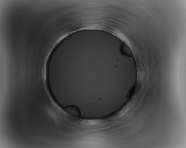 X0000089351095200707131526