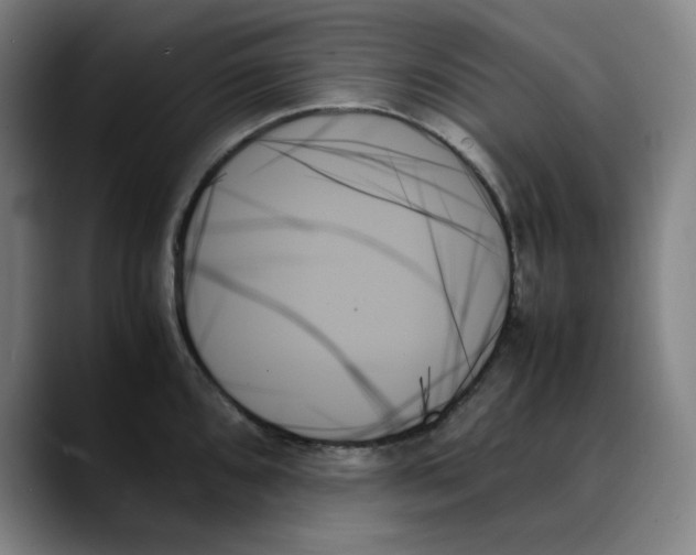 X0000089351096200707131526
