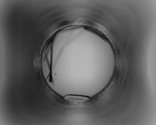 X0000089351097200707131526
