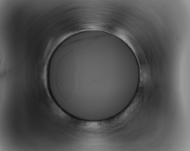 X0000089351098200707131526