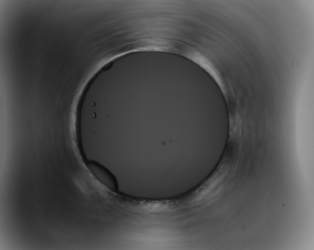 X0000089351099200707131526