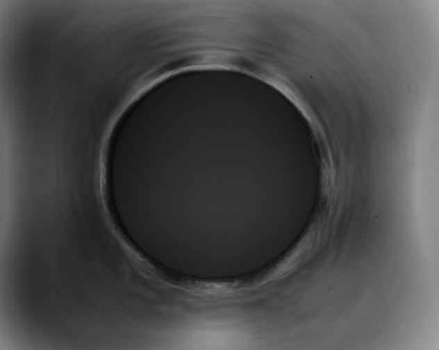 X0000089351101200707131526