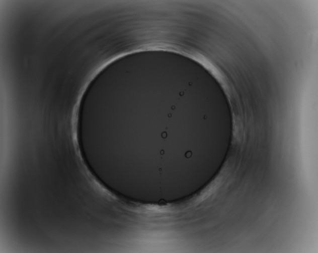 X0000089351102200707131526