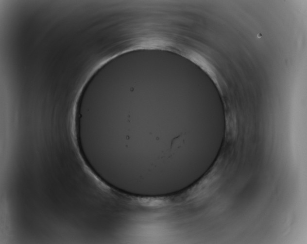 X0000089351103200707131526