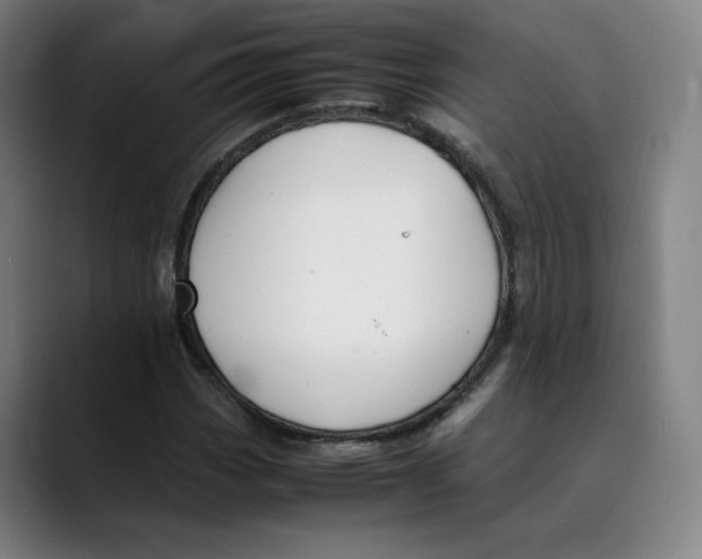 X0000089351113200707131526