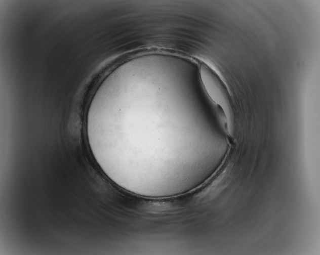 X0000089351115200707131526