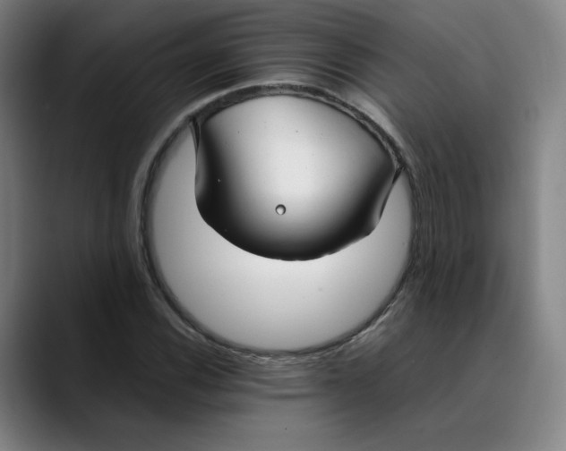 X0000089351116200707131526