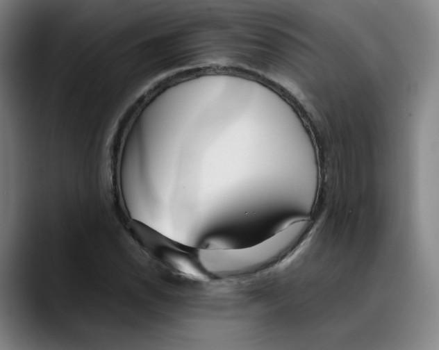 X0000089351118200707131526