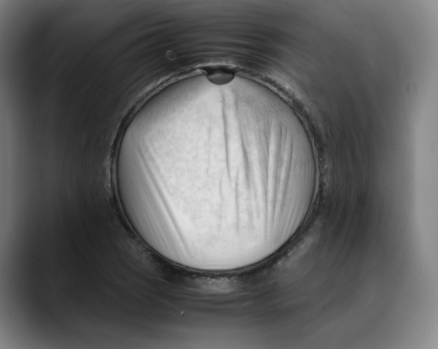 X0000089351121200707131526