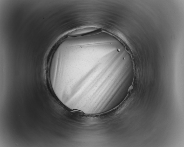 X0000089351124200707131526