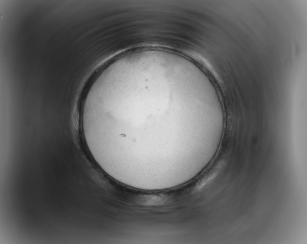 X0000089351125200707131526