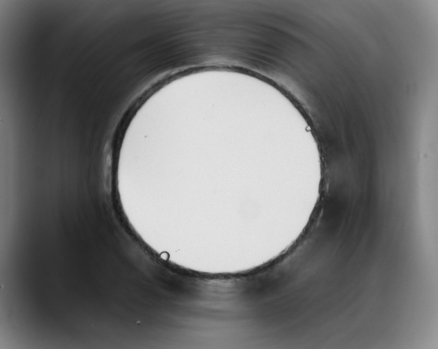 X0000089351126200707131526
