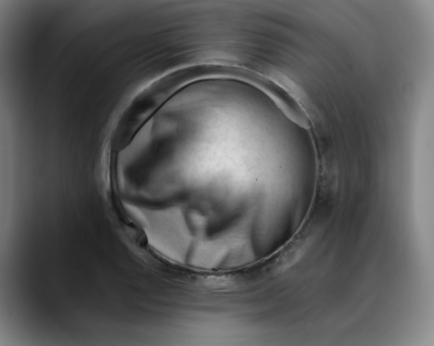 X0000089351128200707131526