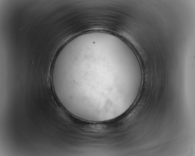 X0000089351129200707131526