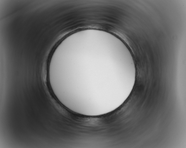 X0000089351131200707131526