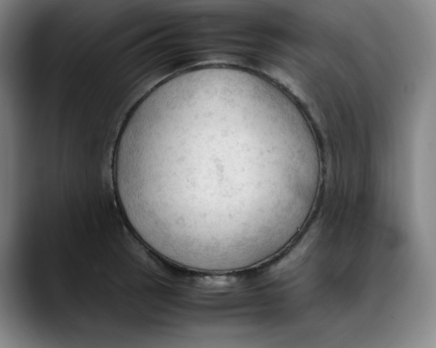 X0000089351137200707131526