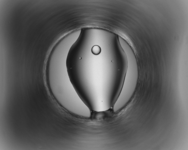 X0000089351138200707131526