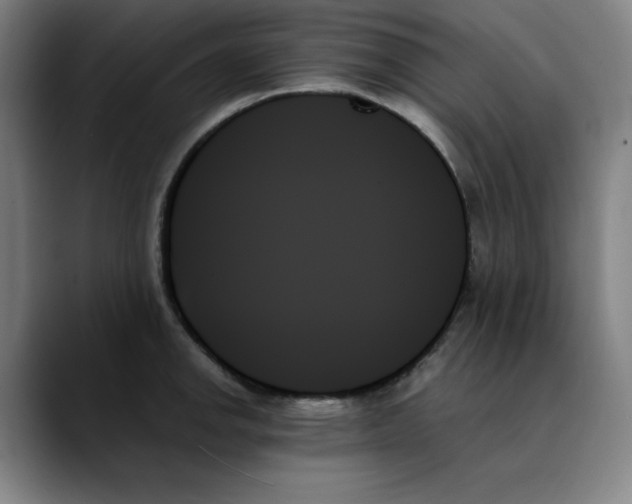 X0000089351142200707131526