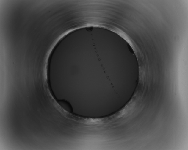 X0000089351148200707131526