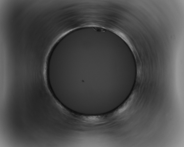 X0000089351149200707131526