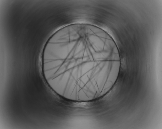X0000089351150200707131526