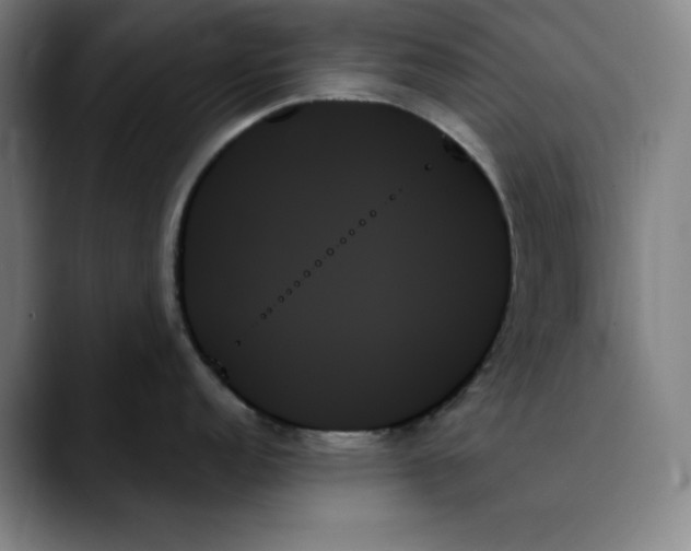 X0000089351152200707131526