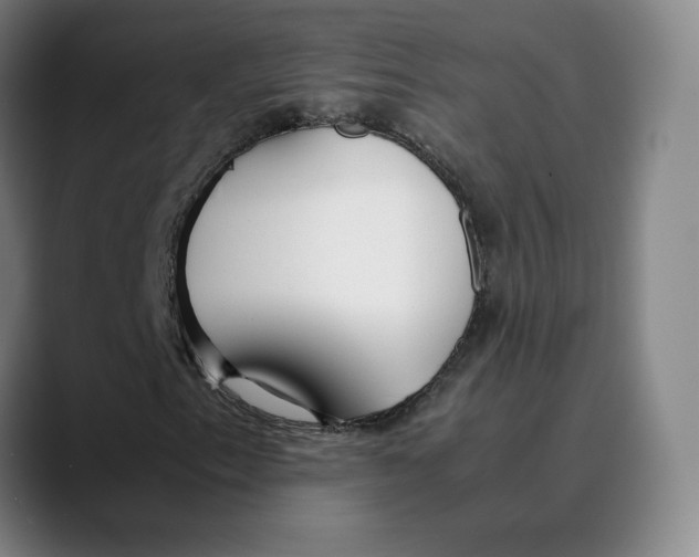 X0000089351153200707131526