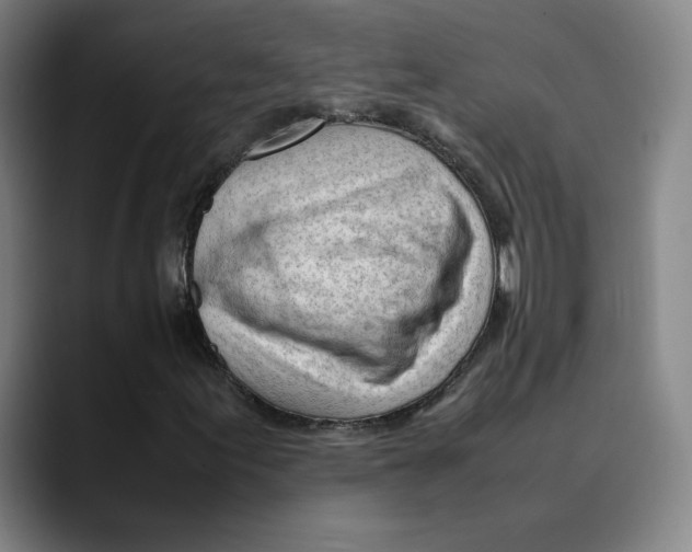 X0000089351155200707131526