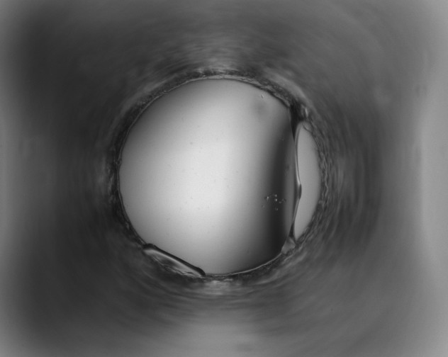 X0000089351160200707131526