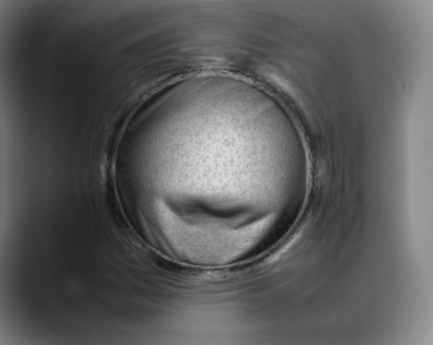X0000089351161200707131526