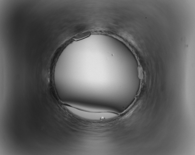 X0000089351165200707131525