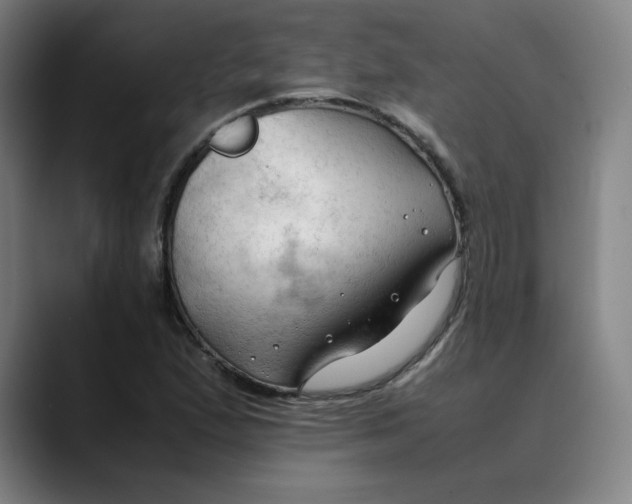 X0000089351167200707131525