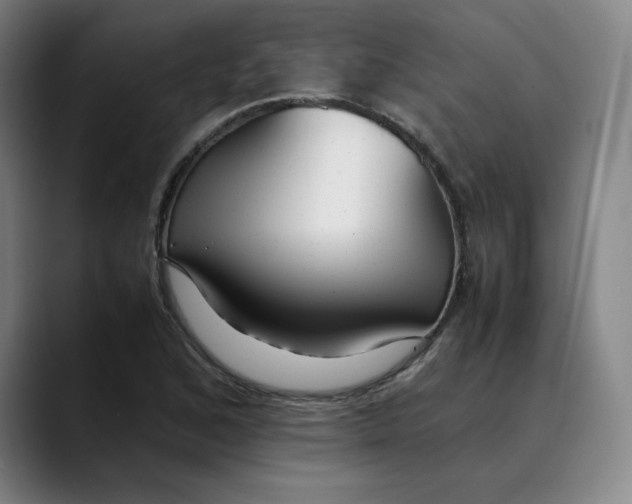 X0000089351168200707131525