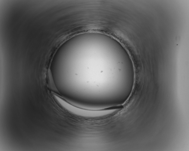 X0000089351169200707131525