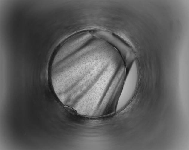 X0000089351173200707131525