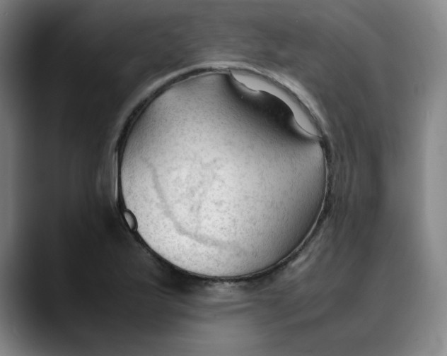X0000089351175200707131525