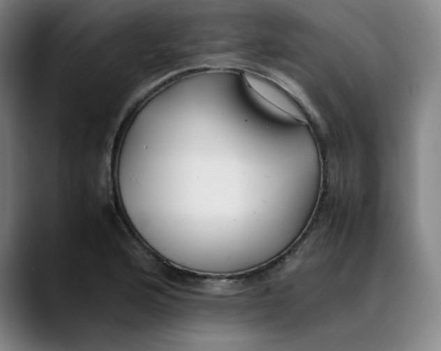 X0000089351176200707131525