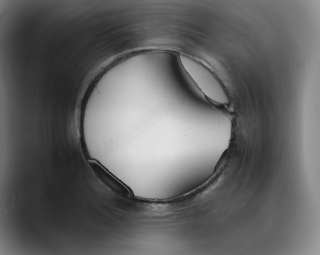 X0000089351180200707131525