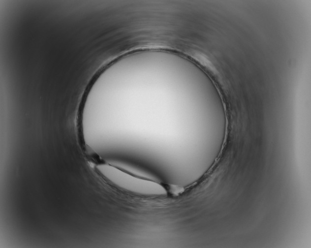 X0000089351181200707131525