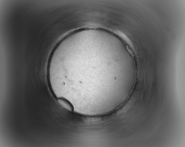 X0000089351183200707131525