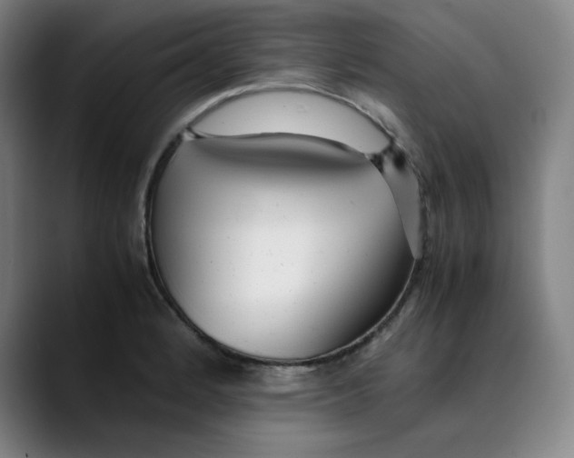 X0000089351184200707131525