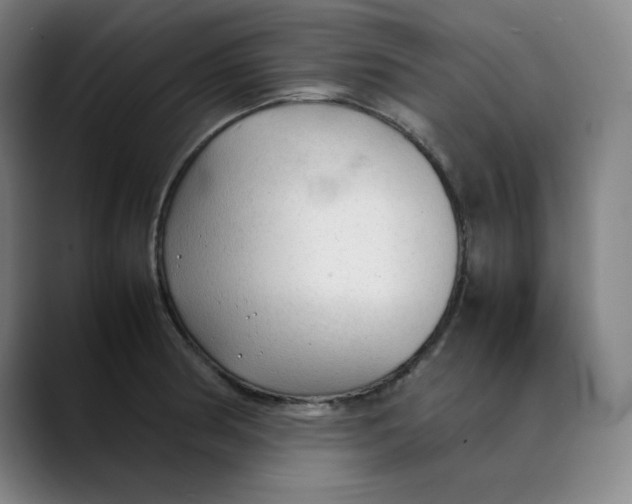 X0000089351186200707131525
