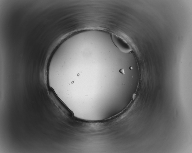 X0000089351188200707131525