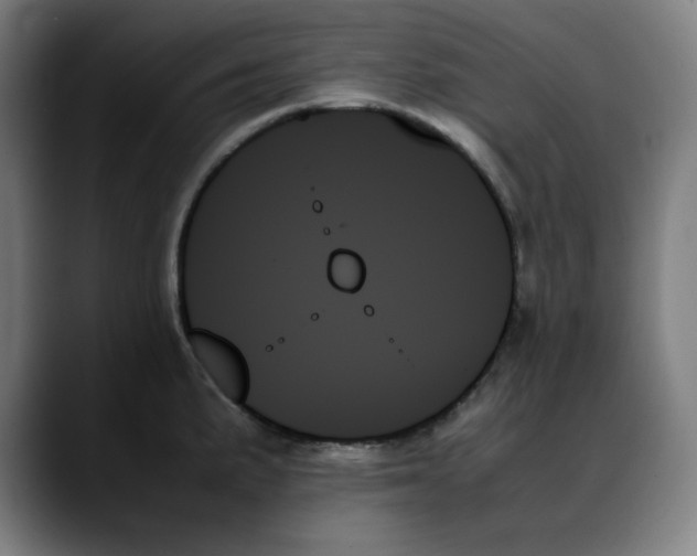 X0000089351191200707131525